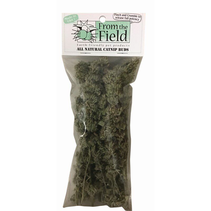 Catnip Buds in a Bag Organically Grown