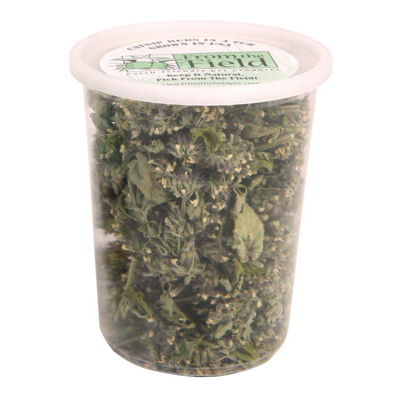 Catnip Buds Tub One Ounce Full Catnip Blossoms