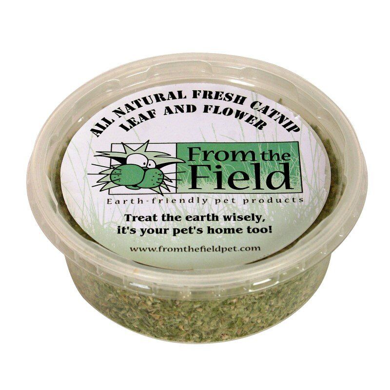 Catnip Leaf And Flower One Ounce Tub Fresh