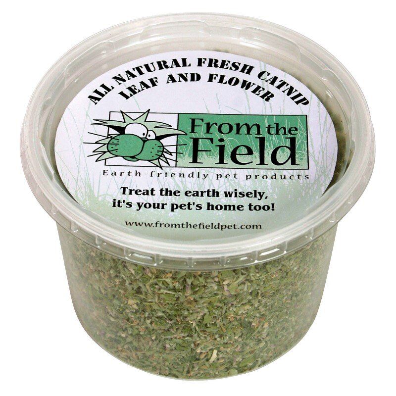 From the Field Organic Catnip Spray Rejuvenator