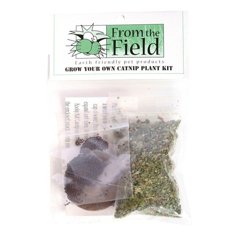Grow Your Own Catnip Plant Kit organic seeds