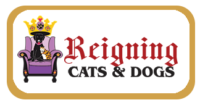 Reigning Cats And Dog