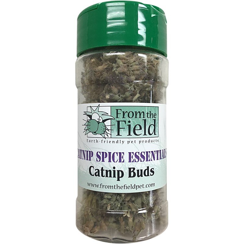 Catnip Spice Essentials Grown in USA