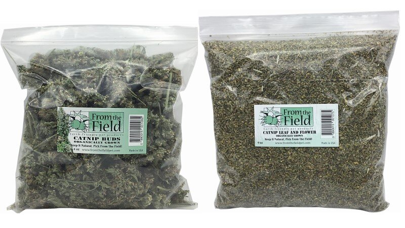 From the field best sale catnip