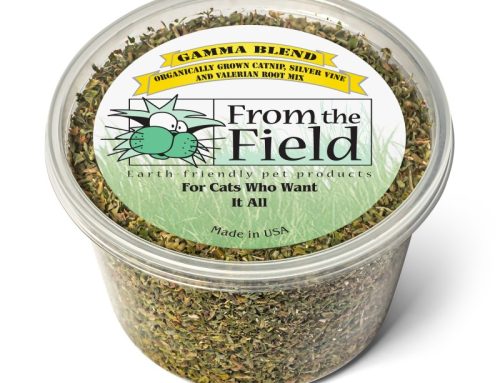 Gamma Blend Two Ounce Tub